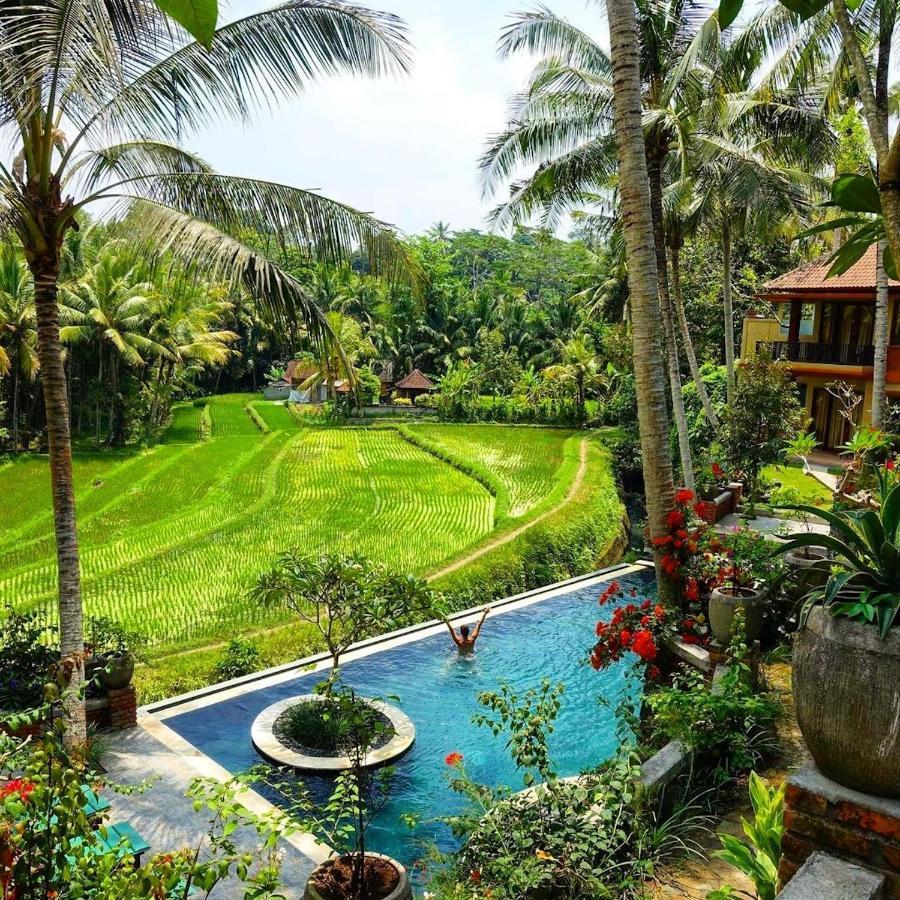 Umasari Rice Terrace By Agata Villa Tabanan (Bali)