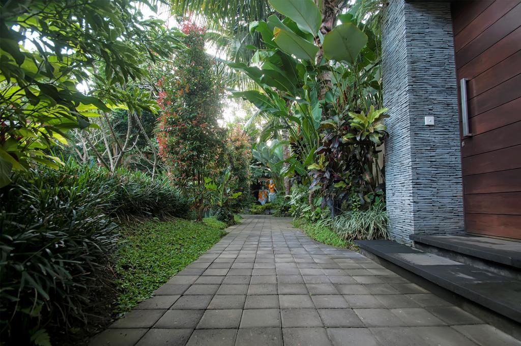 Bayad Bali 3*