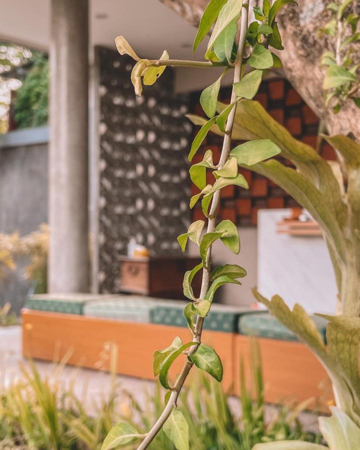 Perissos Echo 3* Canggu (Bali)