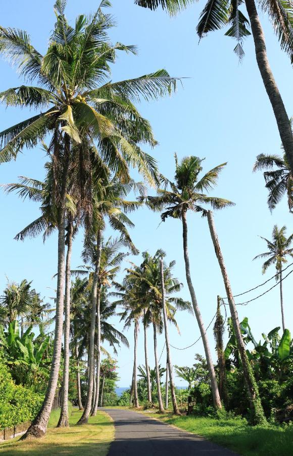 Tamu Seseh Canggu (Bali)