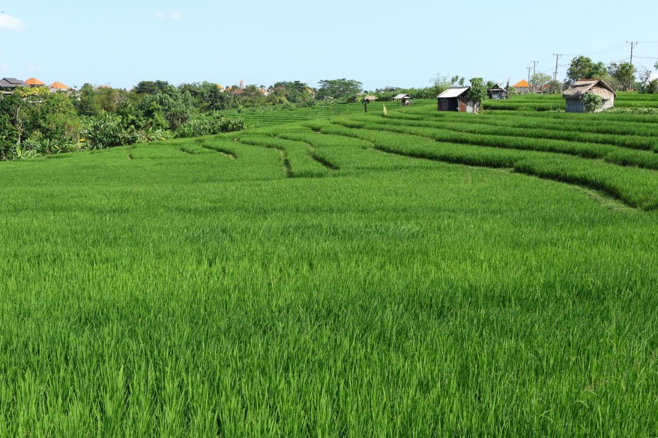 Tamu Seseh * Canggu (Bali)