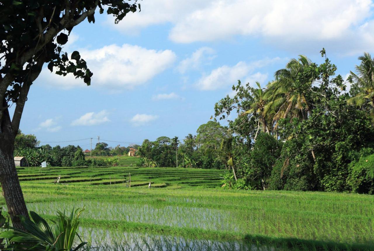 Villa Tamu Seseh *