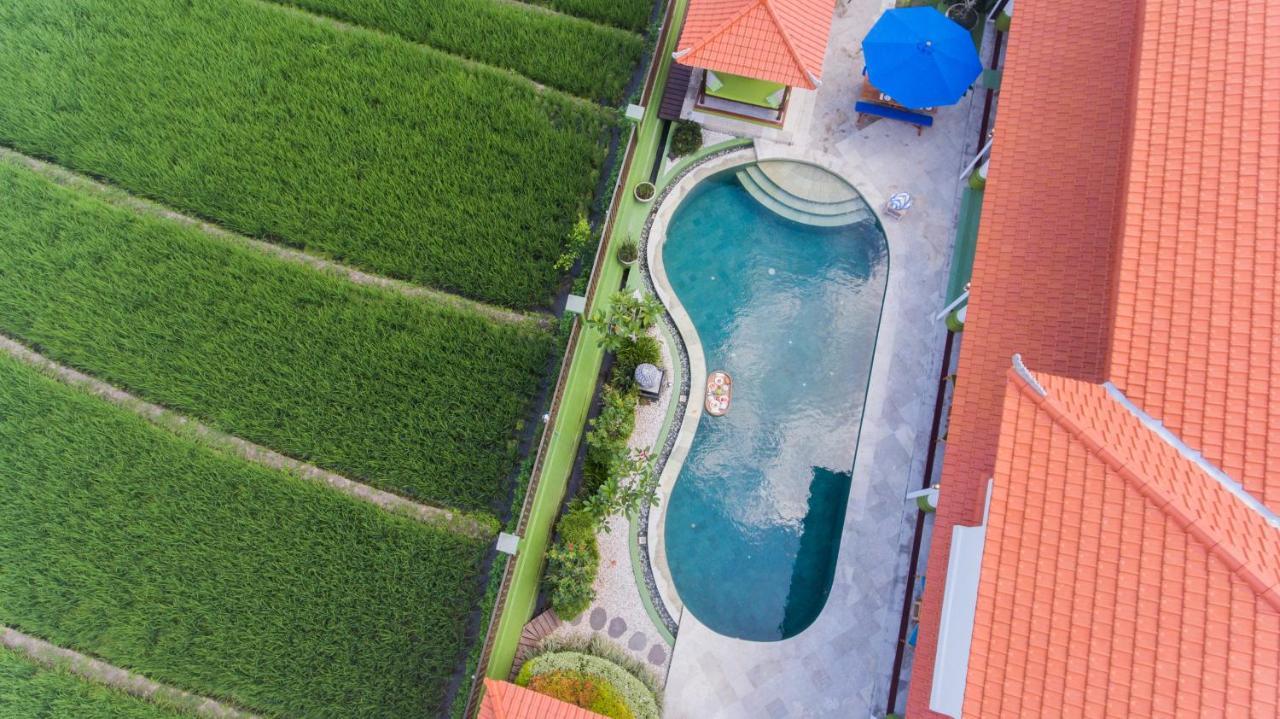 Padi Villa Canggu (Bali)