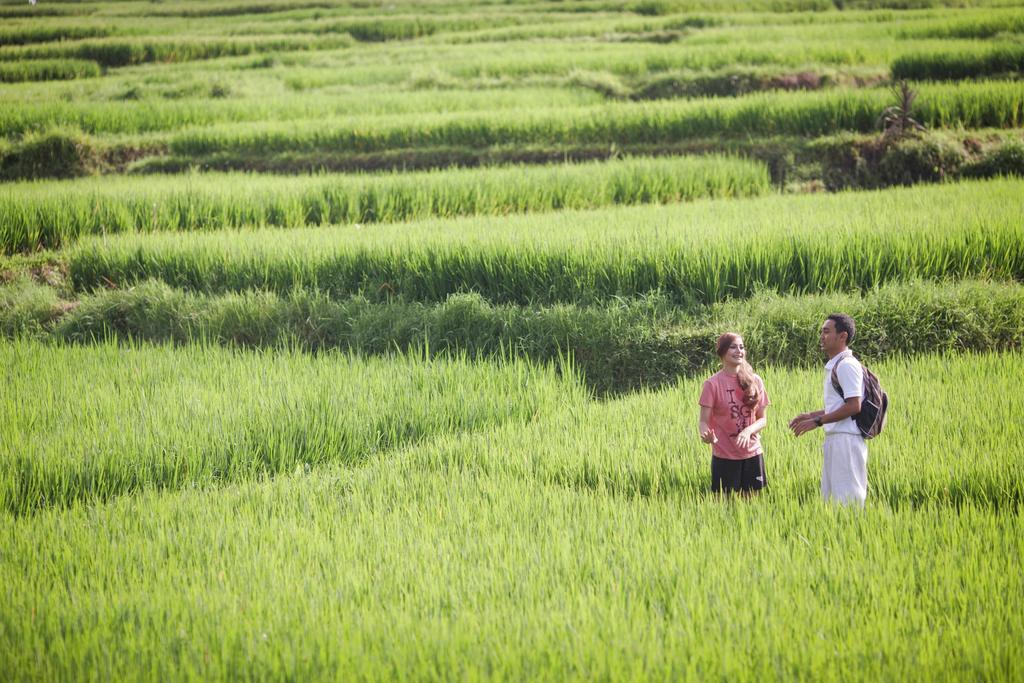 Manyi Village 3* Ubud (Bali)