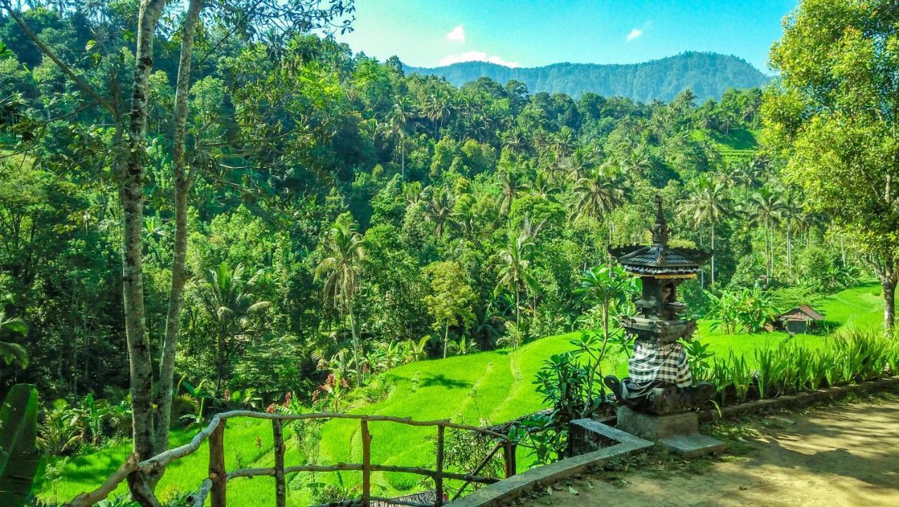 Buda's Lemukih Homestay *
