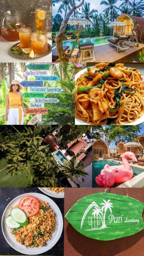 Puri Lumbung Village 3* Payangan