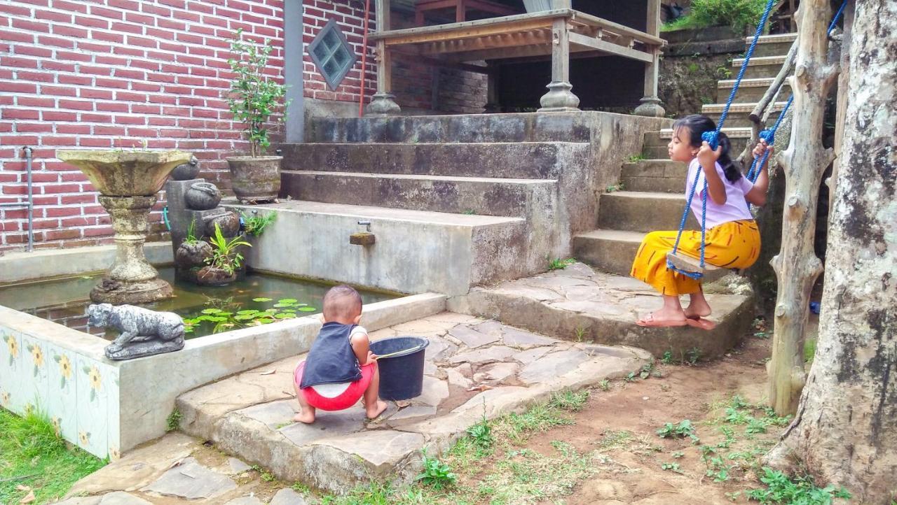 Buda's Lemukih * Buleleng (Bali)