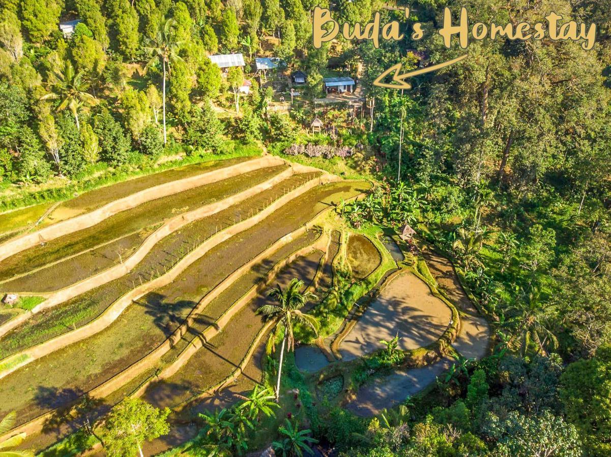 Buda's Lemukih * Buleleng (Bali)