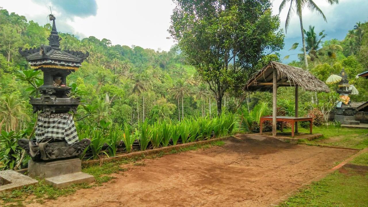 Buda's Lemukih * Buleleng (Bali)