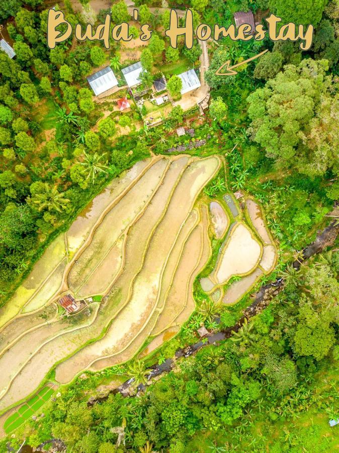 Homestay Buda's Lemukih Buleleng (Bali)