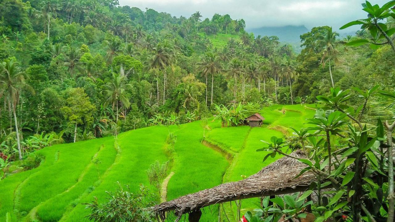 Buda's Lemukih Homestay