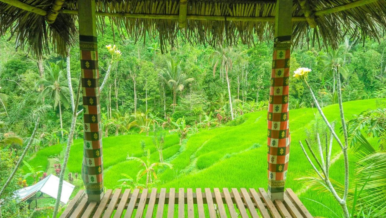 Buda's Lemukih * Buleleng (Bali)