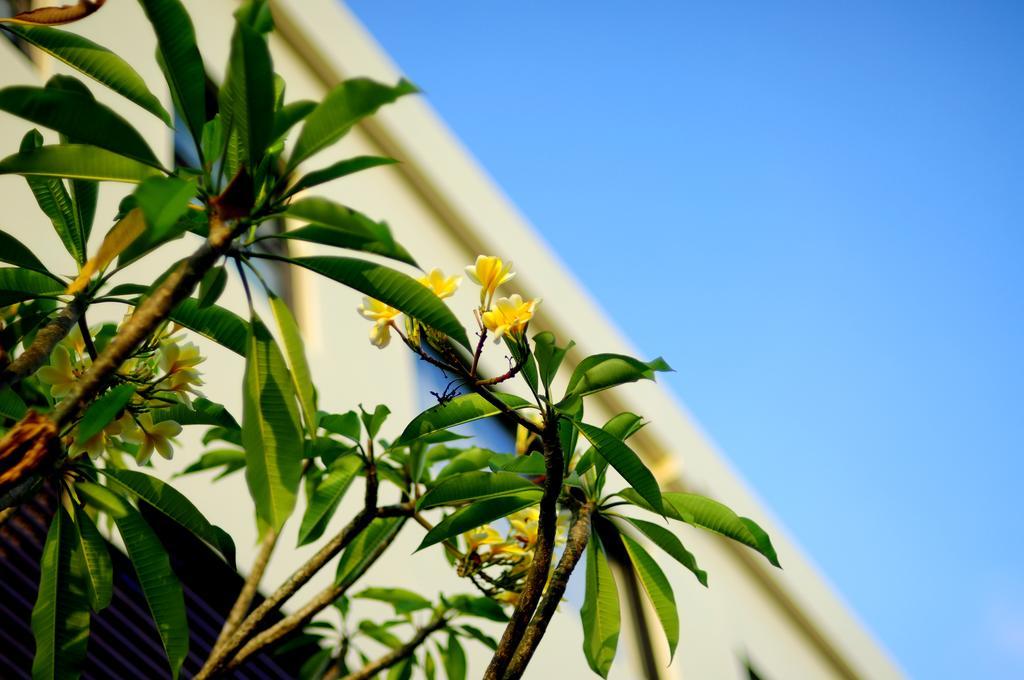 The Hill Ungasan Homestay