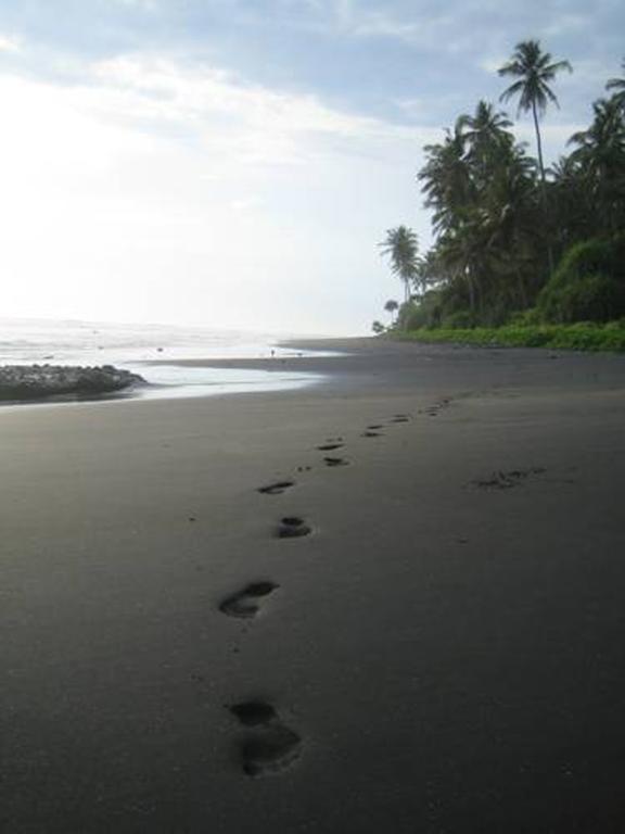 Rumah Pantai Bali 3*