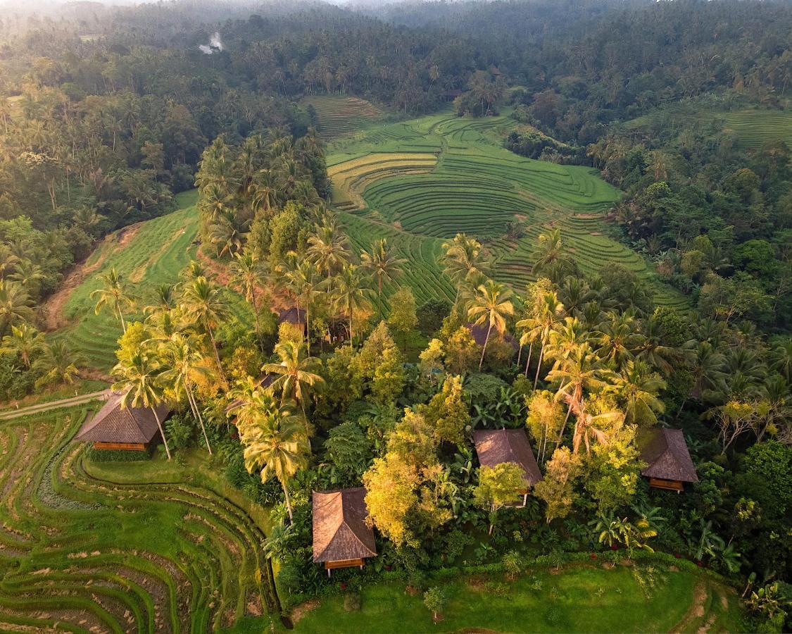 Resort Clove Tree Hill Blimbing (Bali)