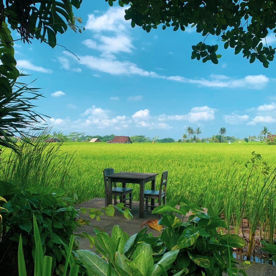 Umasari Rice Terrace By Agata Tabanan (Bali)