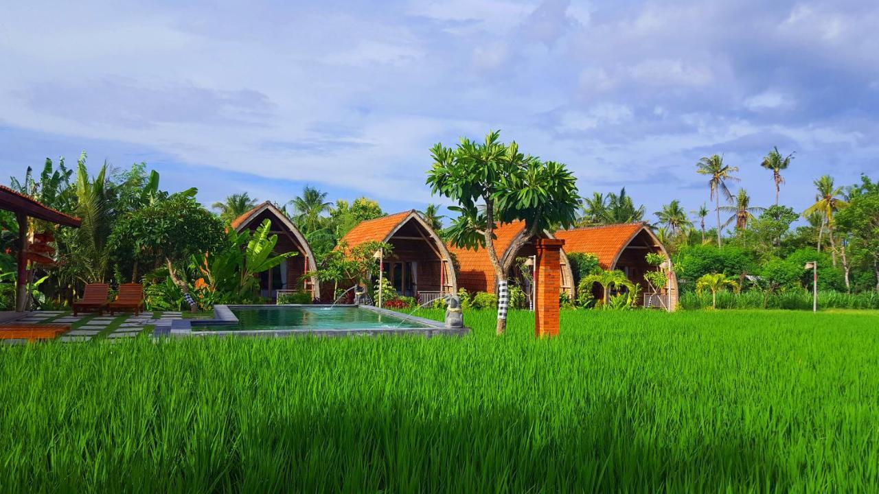 Umma Bali Menjangan Retreat 3* Banyuwedang