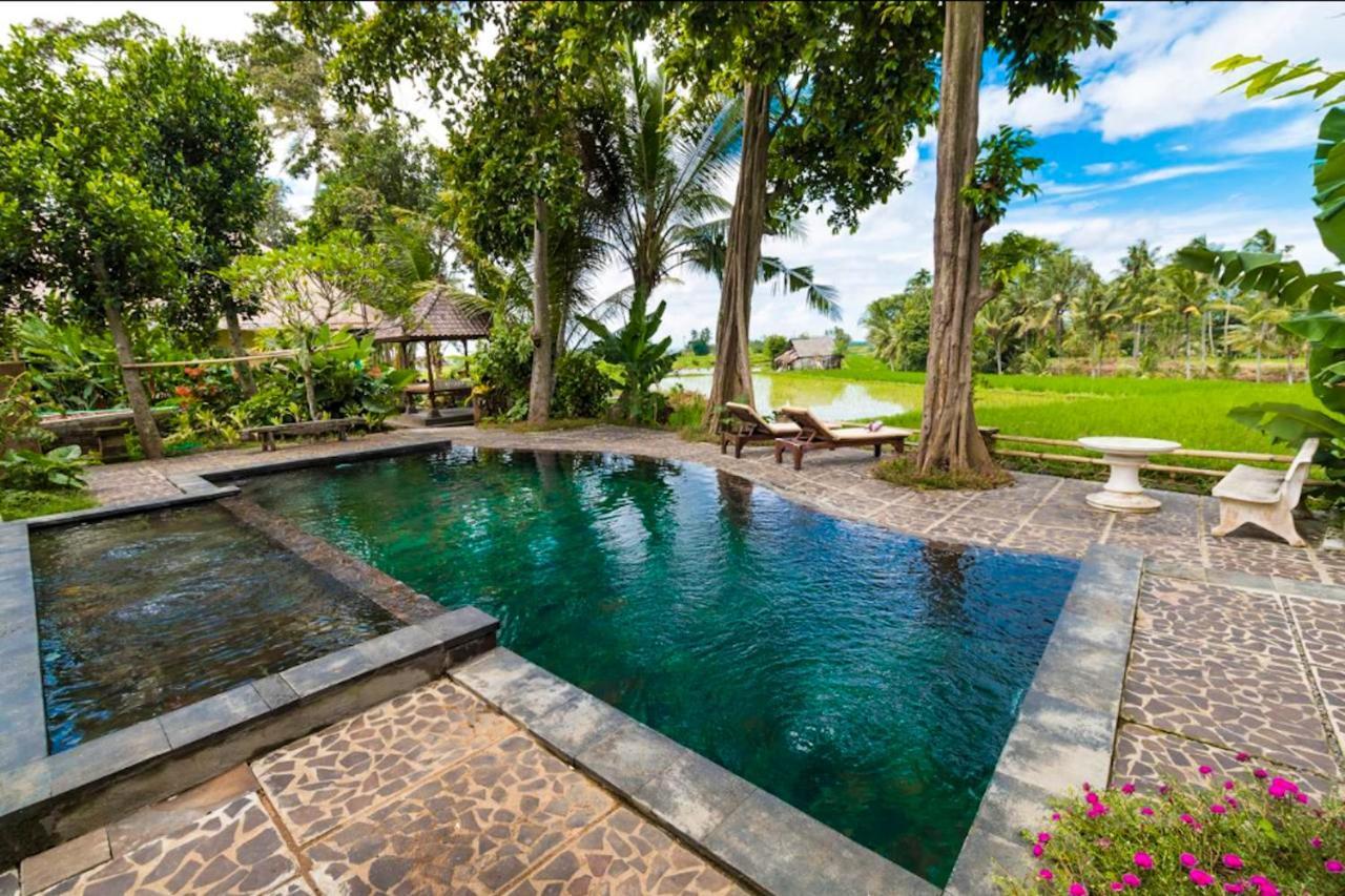 Villa Umasari Rice Terrace By Agata *