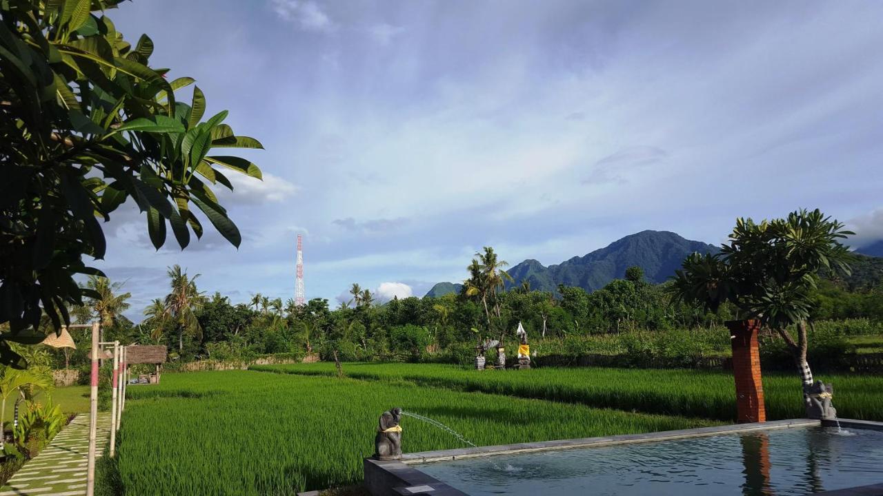 Umma Bali Menjangan Retreat Holiday park