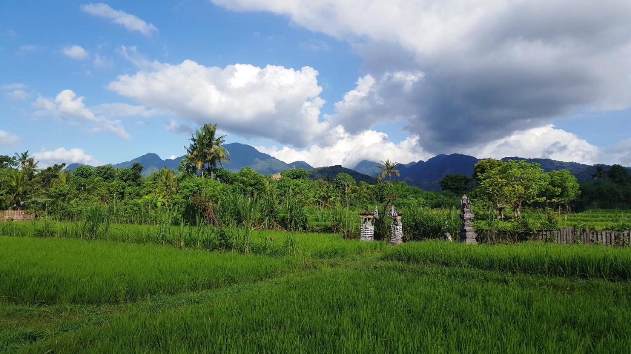 Holiday park Umma Bali Menjangan Retreat 3*