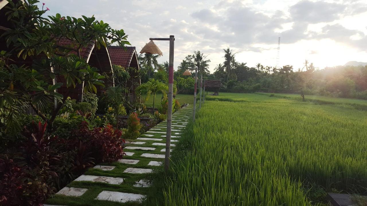 Umma Bali Menjangan Retreat Holiday park 3*