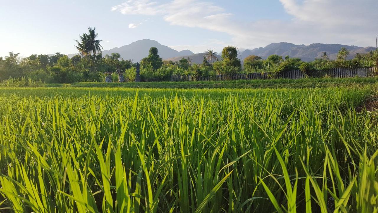 Umma Bali Menjangan Retreat Banyuwedang