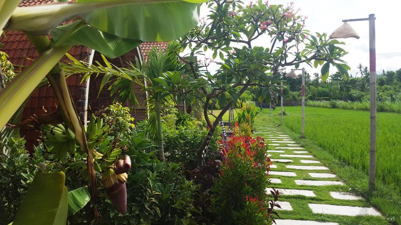 Umma Bali Menjangan Retreat 3*