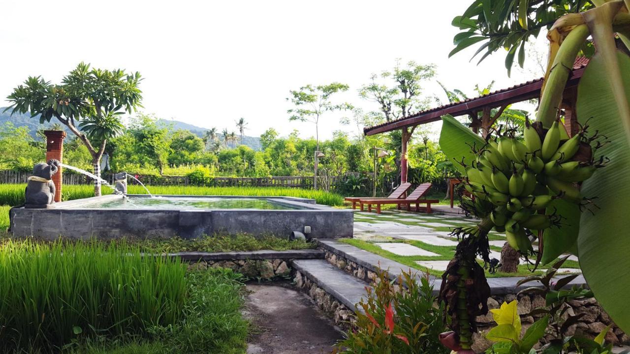 Umma Bali Menjangan Retreat Holiday park Banyuwedang