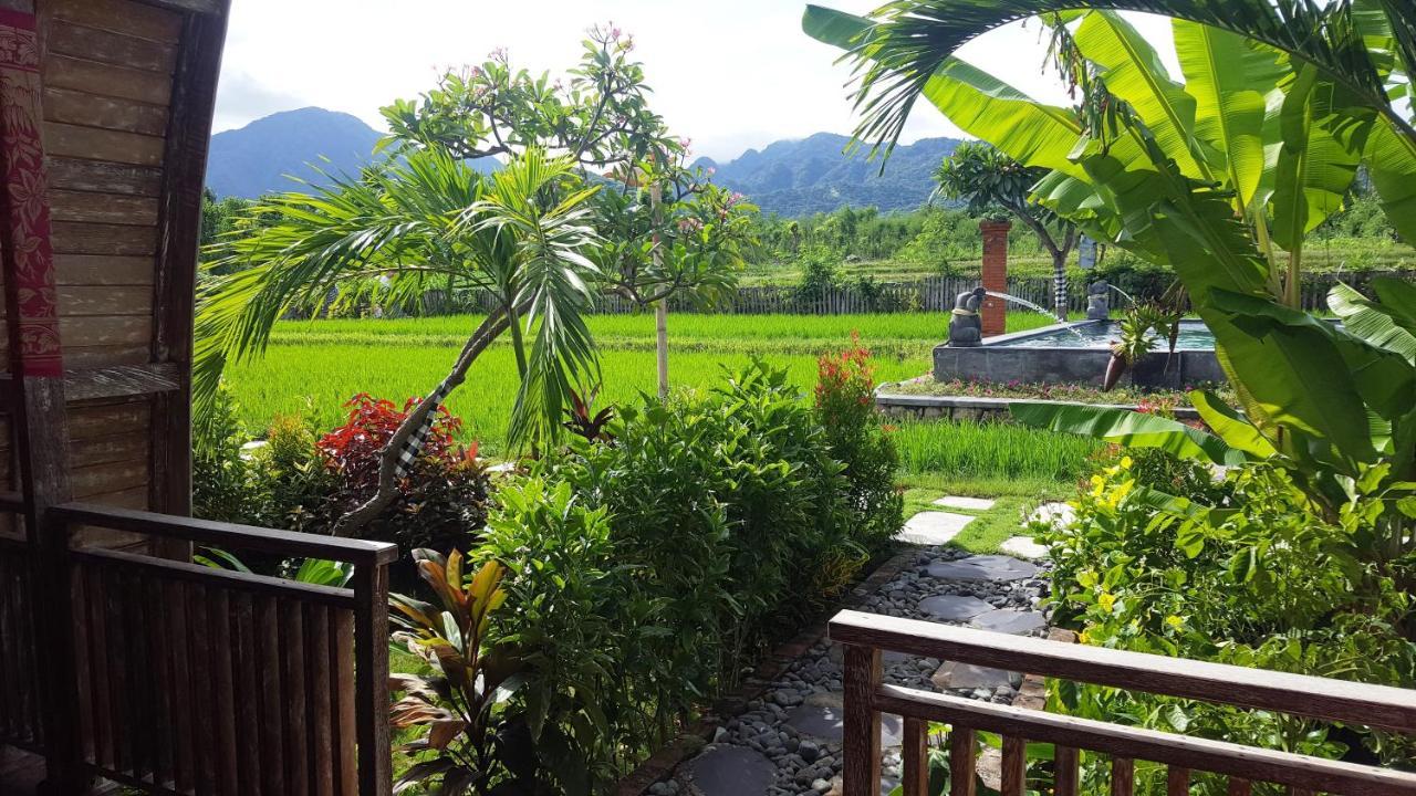 Umma Bali Menjangan Retreat Holiday park