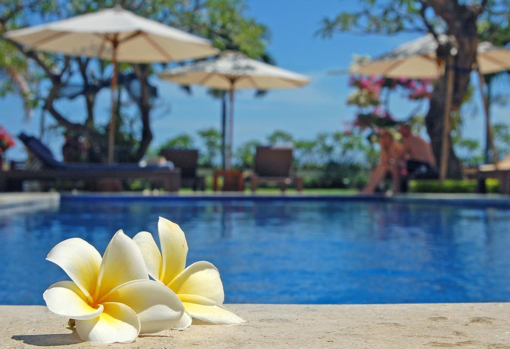 Frangipani Lovina (Bali)
