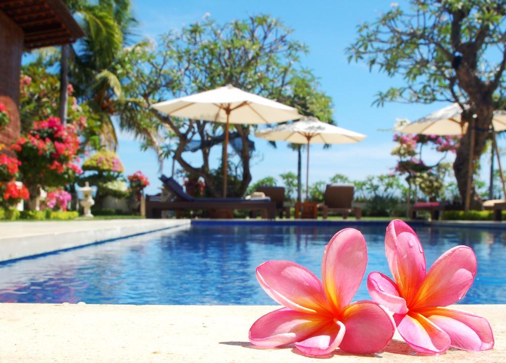 Guest house Frangipani 3*