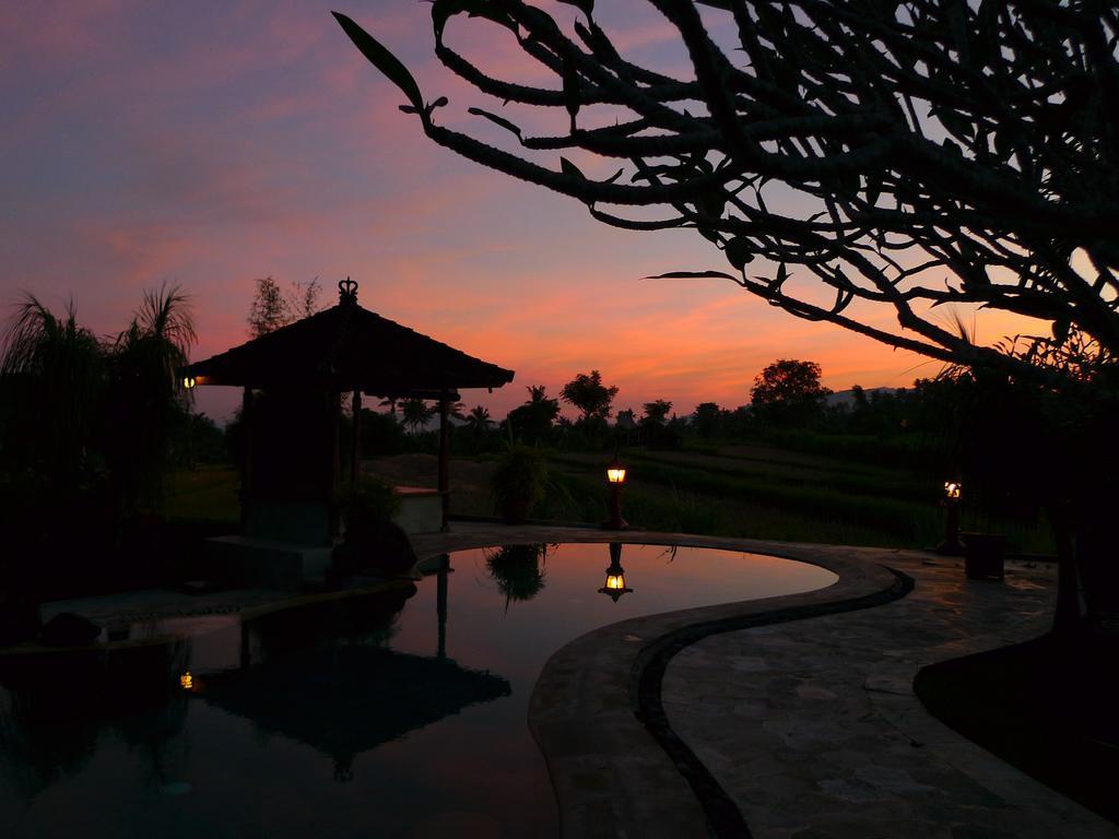Guest house Cabe Bali 3*