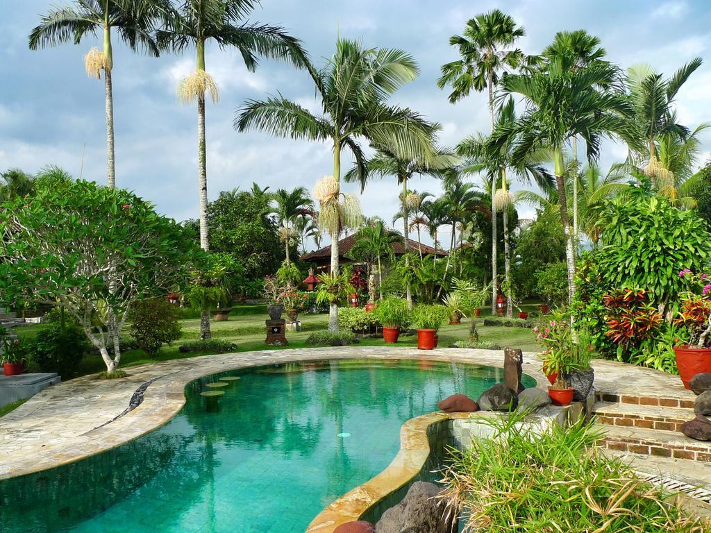 Guest house Cabe Bali Jasri