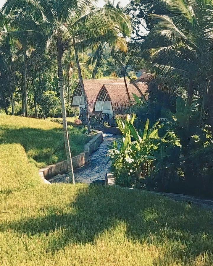 Damuh Pertivi, River And Rice Fields View Lovina (Bali)