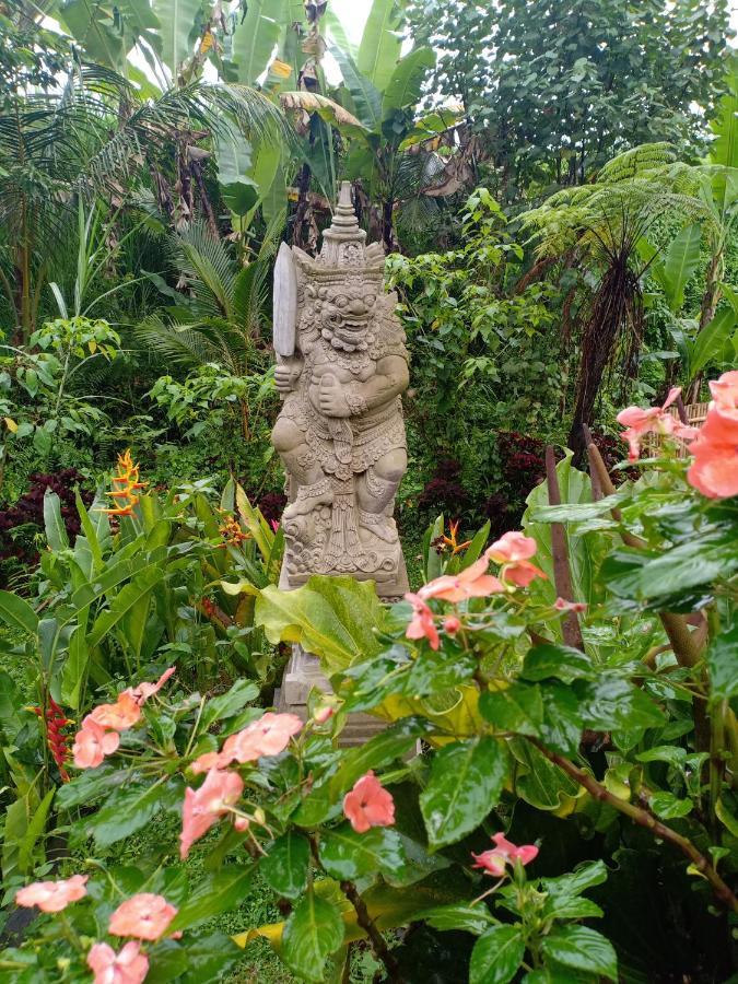 Villa Jero Tumbuk Private *