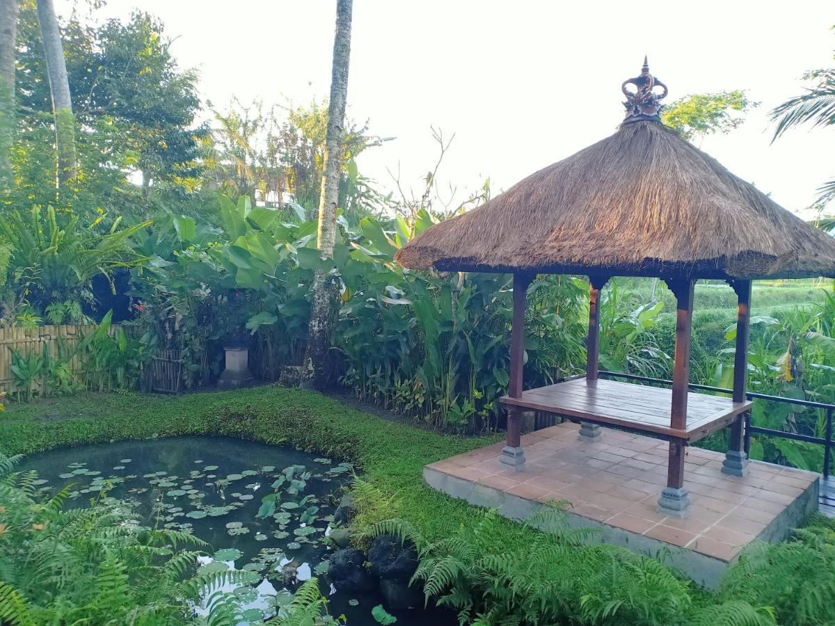 Villa Jero Tumbuk Private *