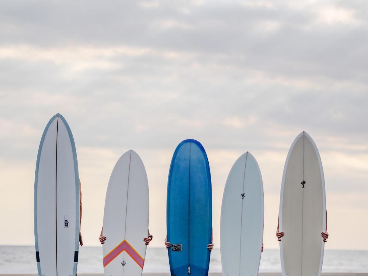 Seaside Tribe - Boutique Surf & Retreat Guest house *