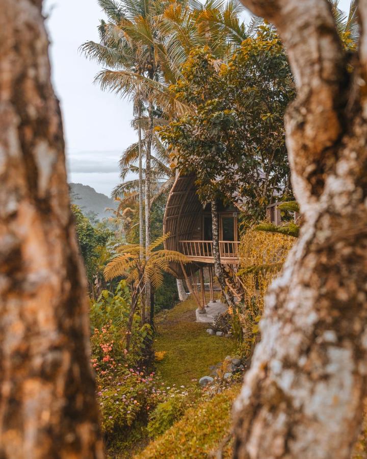 Jero Tumbuk Private Villa Selat