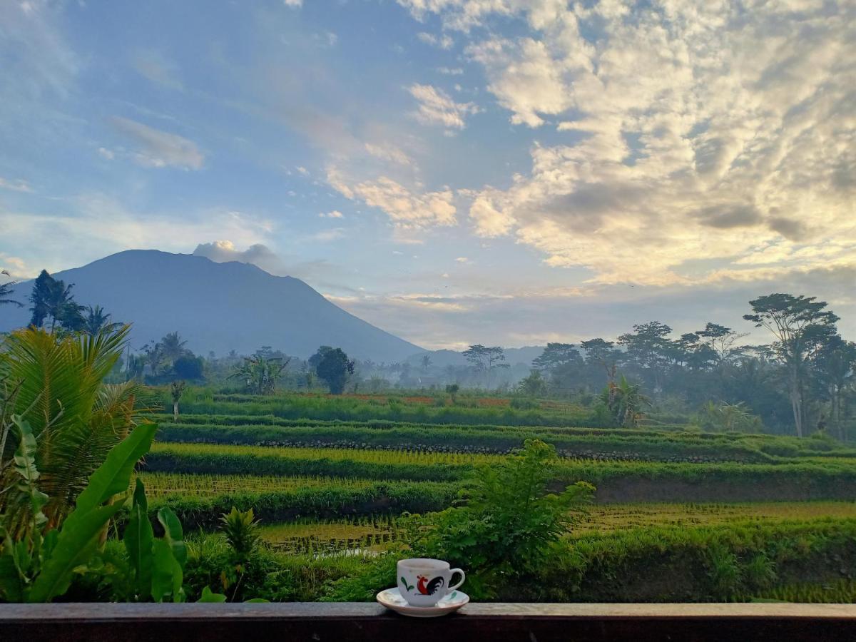 Jero Tumbuk Private Villa