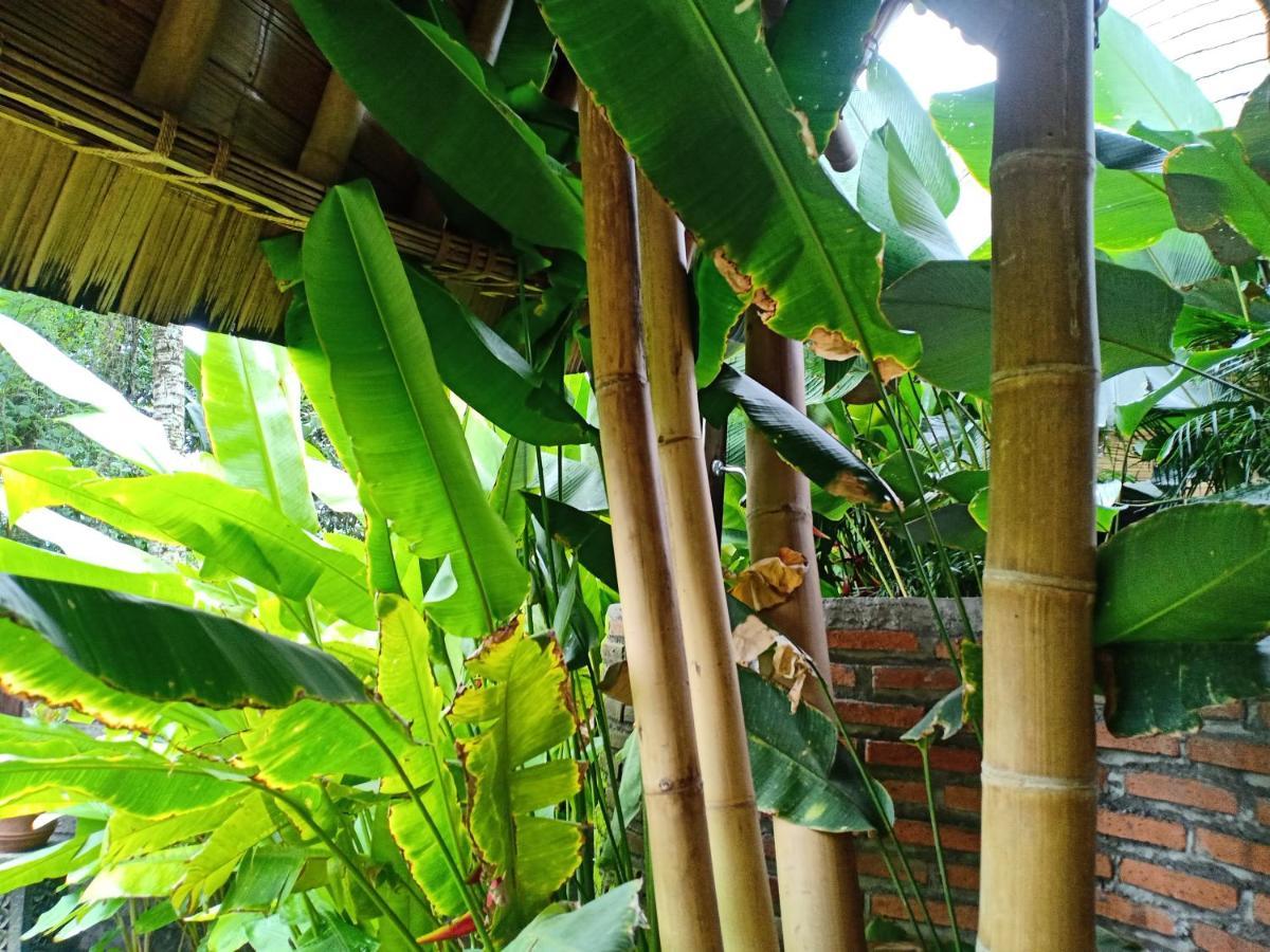 Villa Jero Tumbuk Private *