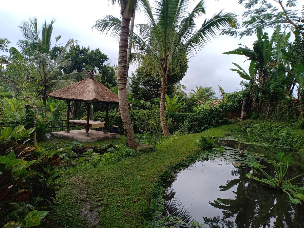 Villa Jero Tumbuk Private