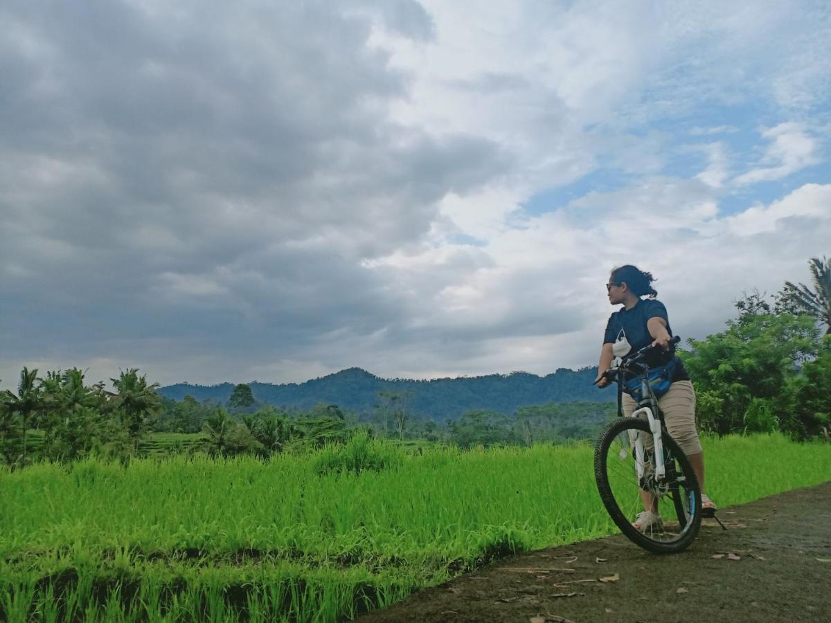 Jero Tumbuk Private Villa