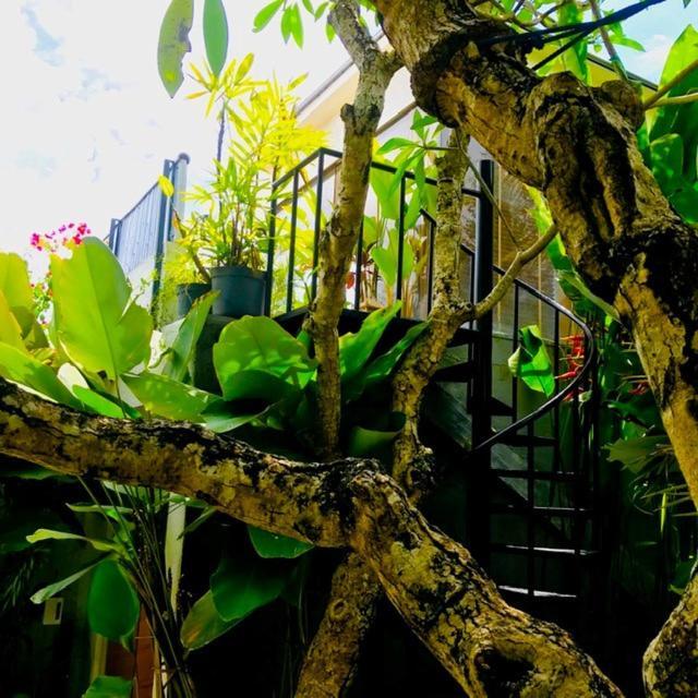 Villa Madu Canggu (Bali)