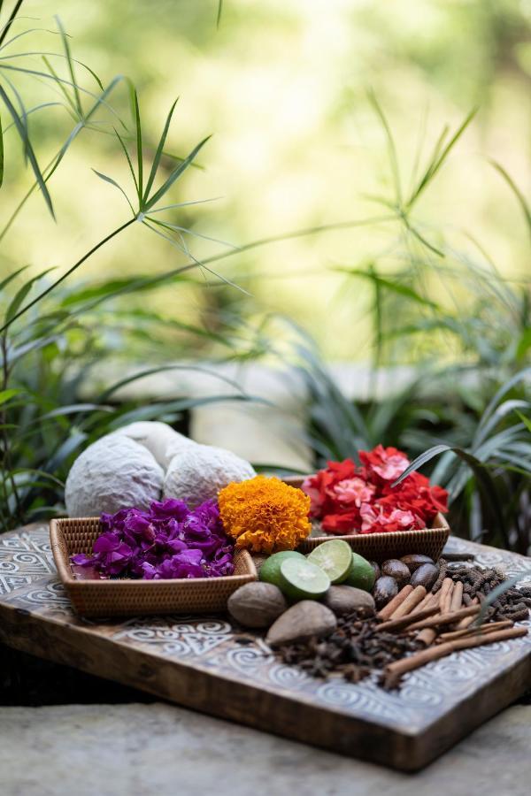 Hotel Vije Boutique & Ubud (Bali)