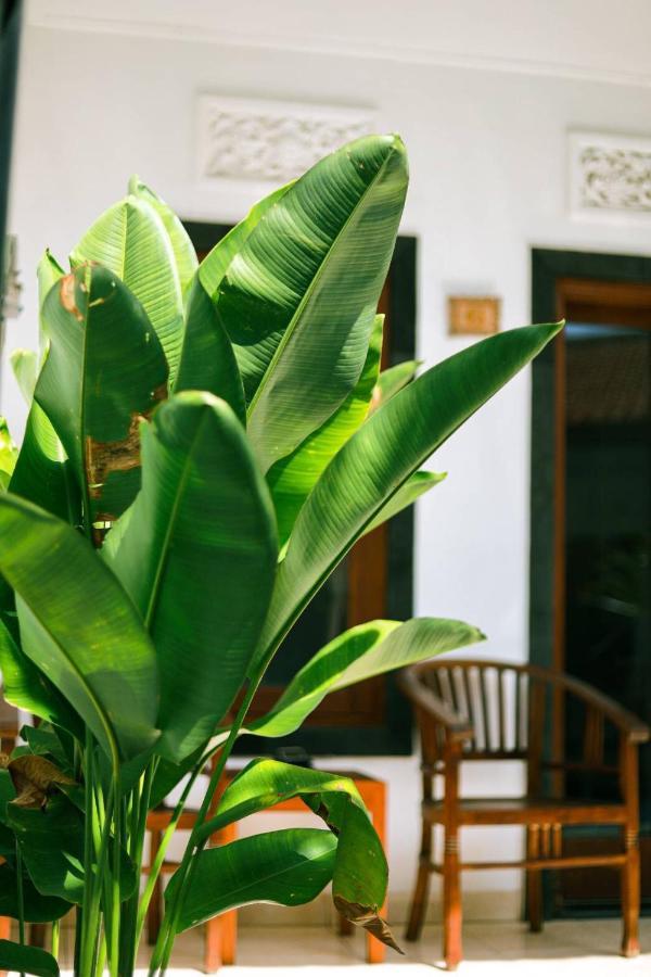 Guest house Adi Canggu (Bali)