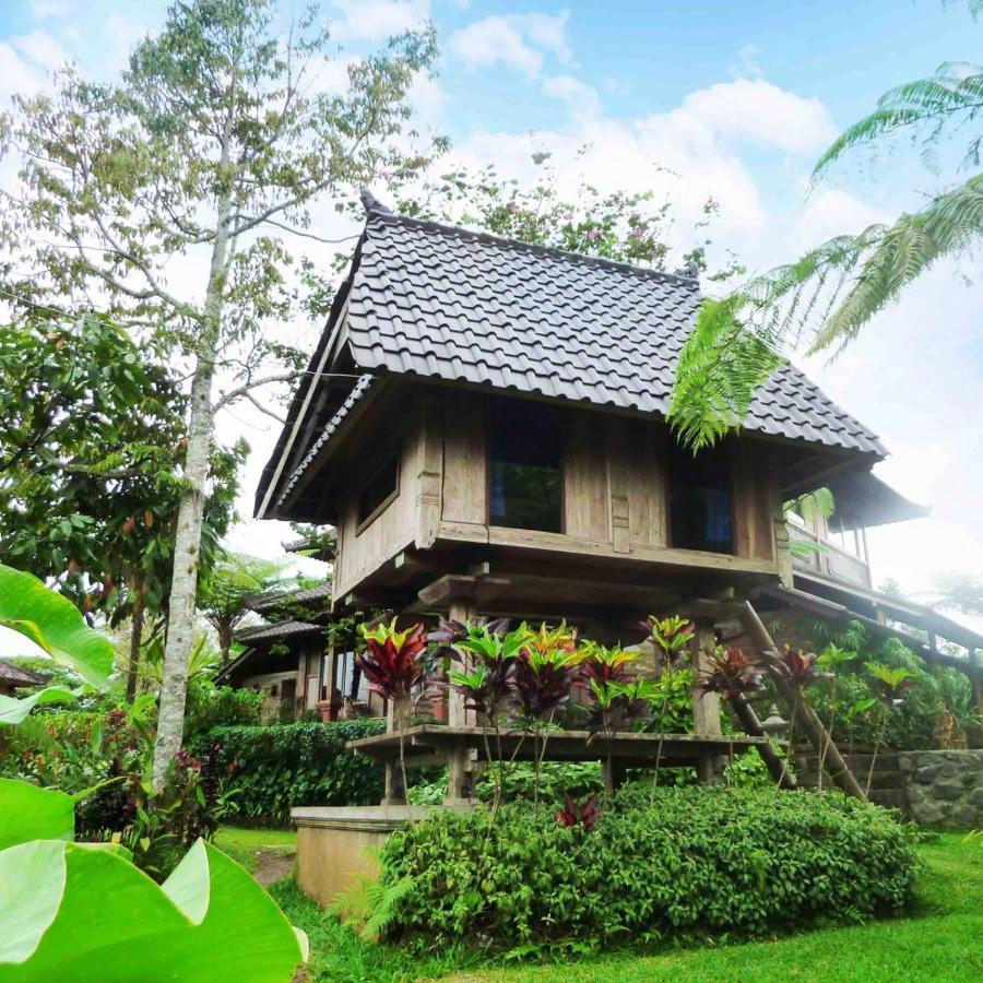 Bali Mountain Retreat Lodge