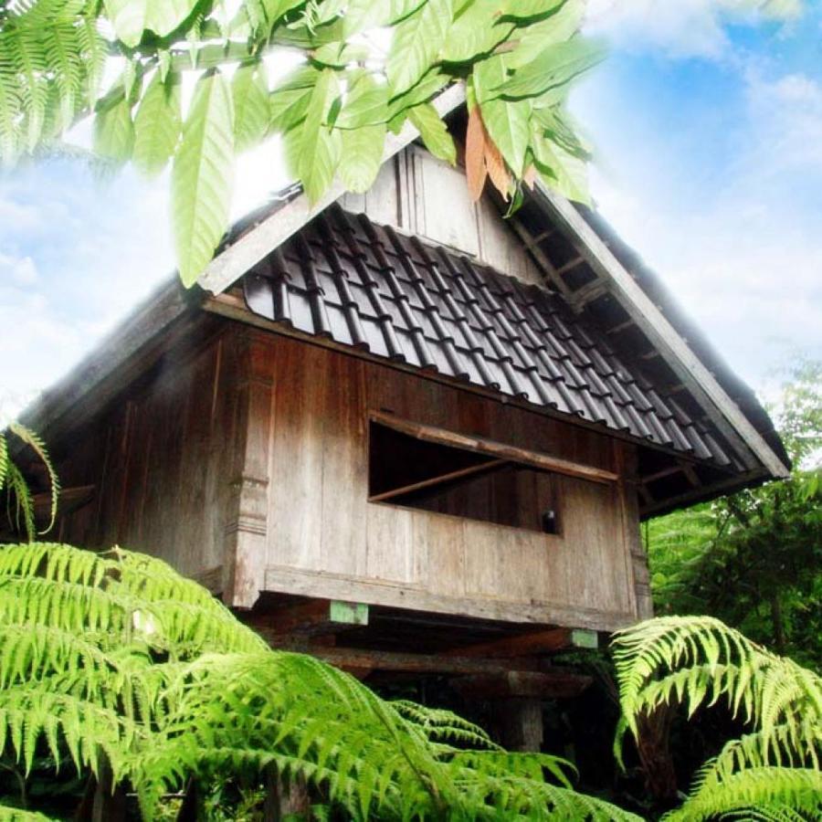Bali Mountain Retreat Lodge