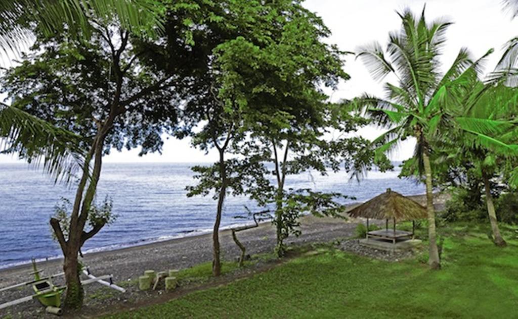Bali Au Naturel Wisma tamu Tejakula