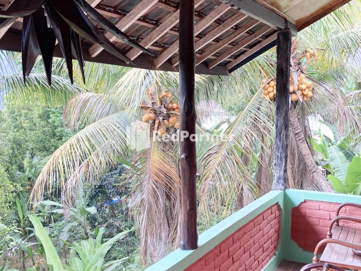 Taman Ayu Mitra Reddoorz Homestay Munduk (Bali)
