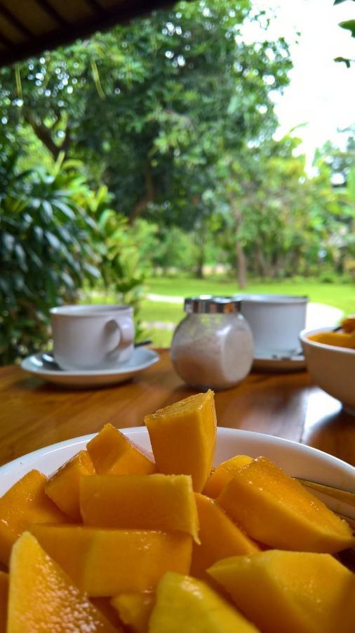 Mango Tree